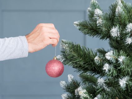 Enfeites para árvore de Natal: sugestões encantadoras
