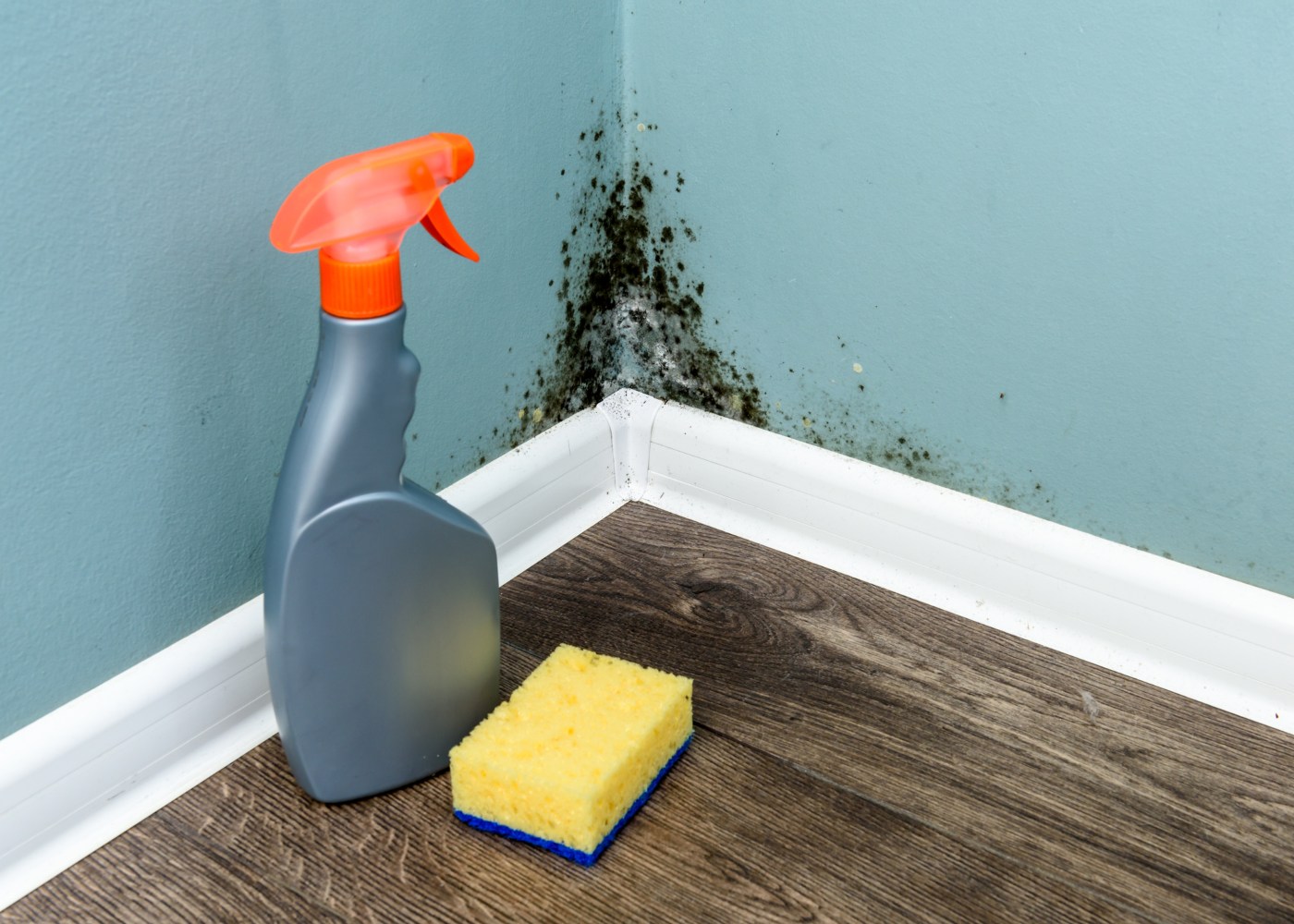 Como limpar o bolor nas paredes e melhorar a respiração