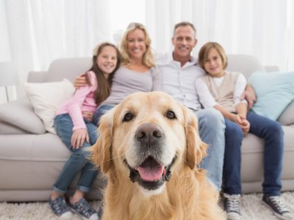Cão com família em apartamento