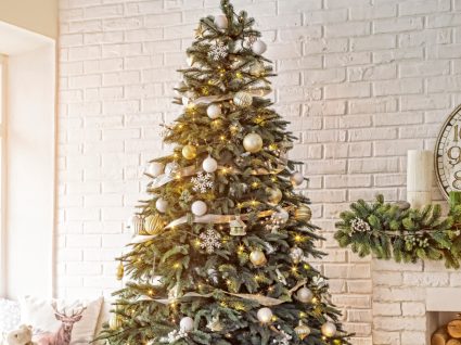 Árvores de Natal: 6 sugestões para todos os gostos