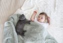 Gatos e bebés: alguns cuidados a ter