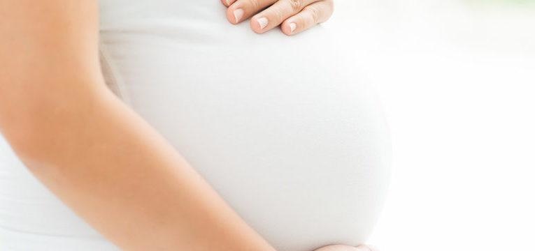 saiba tudo sobre a toxoplasmose na gravidez