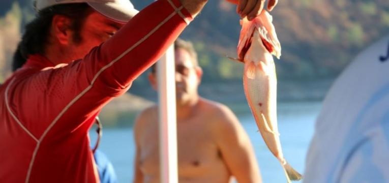 Achigã Challenge - 2º Circuito de Pesca Aldeias de Xisto