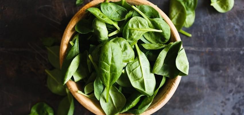 5 receitas saudÃ¡veis com espinafres para viver melhor