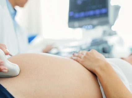 Toxoplasmose na gravidez: o que é, sintomas e como evitar