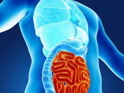 Cancro do intestino: sintomas