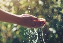 Como reduzir o consumo de água: 10 dicas que podem ajudar