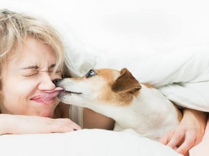 Dormir com o seu cão pode fazer-lhe melhor do que imagina