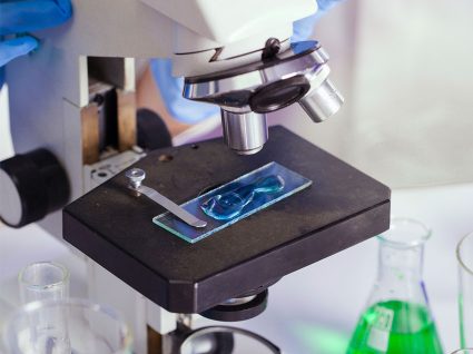 HUB de Biotecnologia vai contratar mais de 100 investigadores