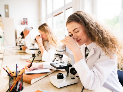 estágios científicos para alunos do Ensino Secundário