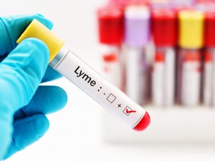 Doença de Lyme: quando a mordida da carraça ataca