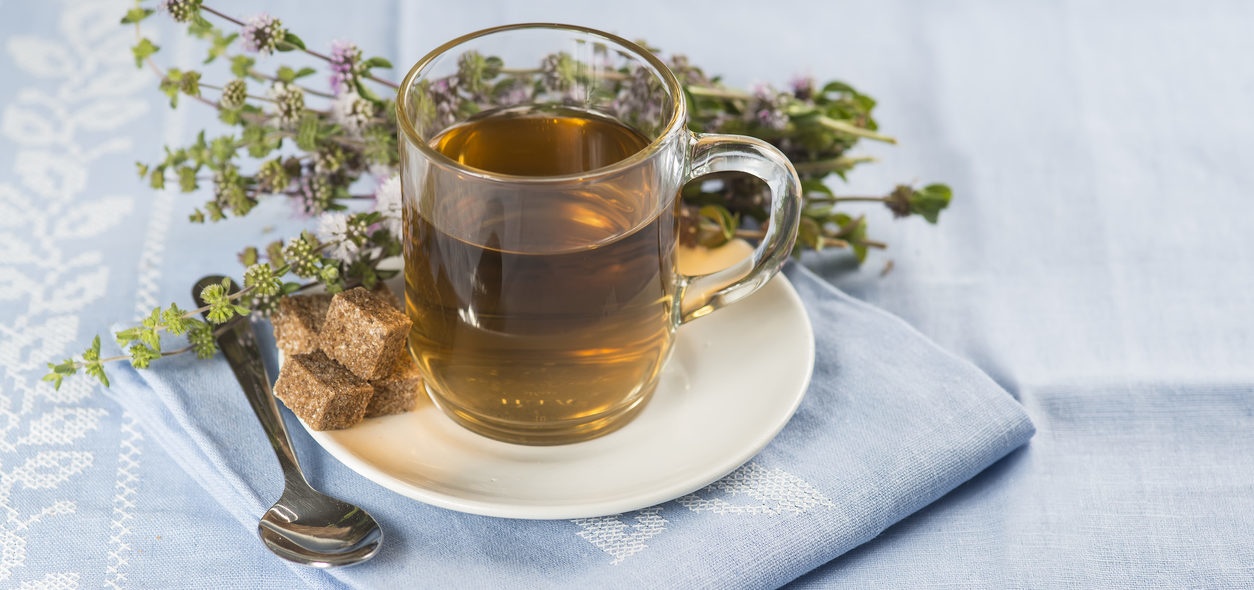 Chá de poejo: o aliado na cura das gripes e constipações