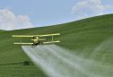 Os 12 vegetais mais contaminados por pesticidas