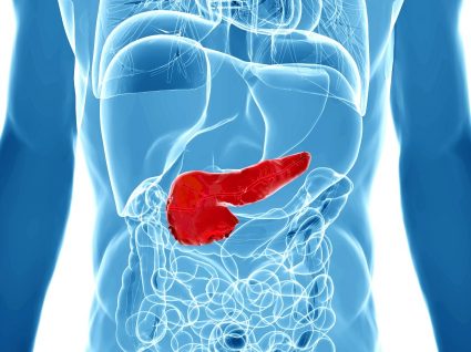 Novo método para diagnosticar o cancro do pâncreas mais cedo