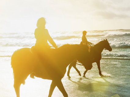 Este verão, quer passear a cavalo?