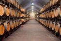Caves de Vinho do Porto: 10 marcas que vale a pena saborear