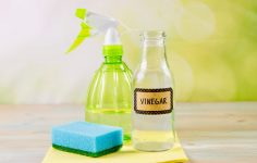 frasco de vinagre,detergente e esfregão