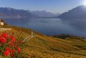 Vaud: apaixone-se pelas belas paisagens da Suíça