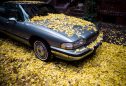 Carro estacionado coberto de folhas
