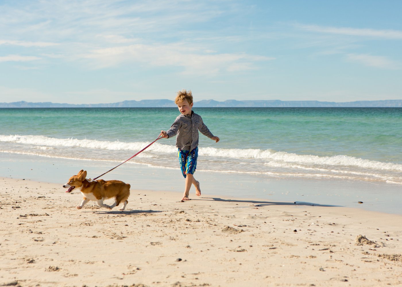 Criança a brincar com cão na praia