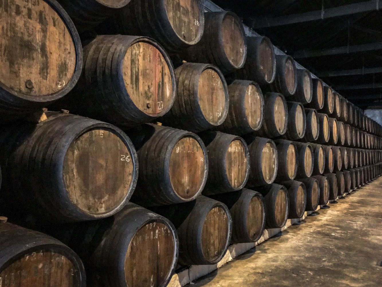 Barris de vinho do Porto