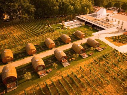 Wine Barrels da Quinta da Pacheca
