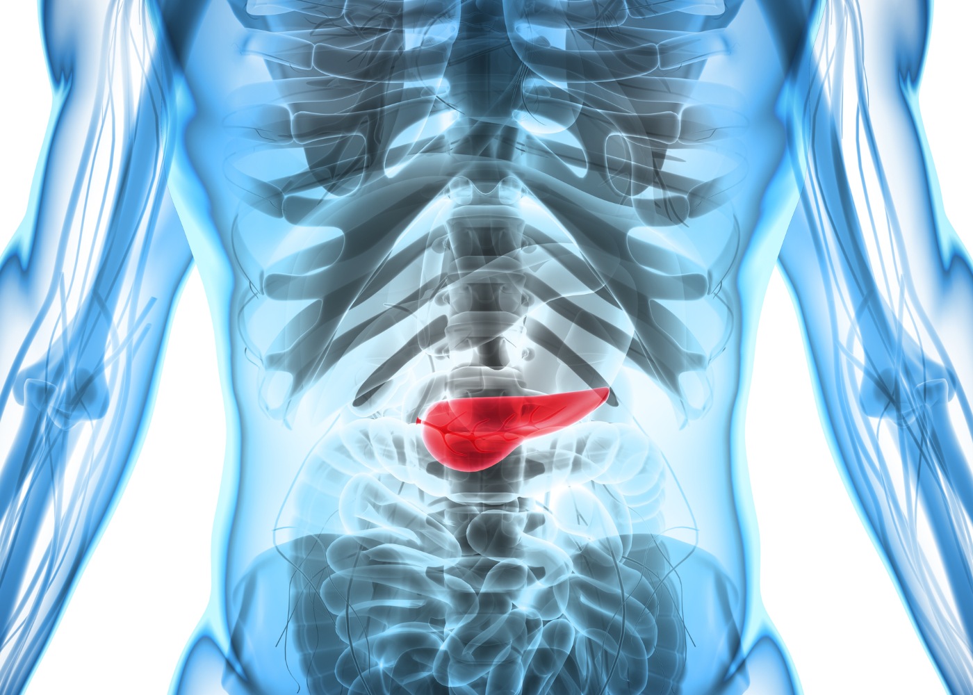 Imagem 3D do pâncreas