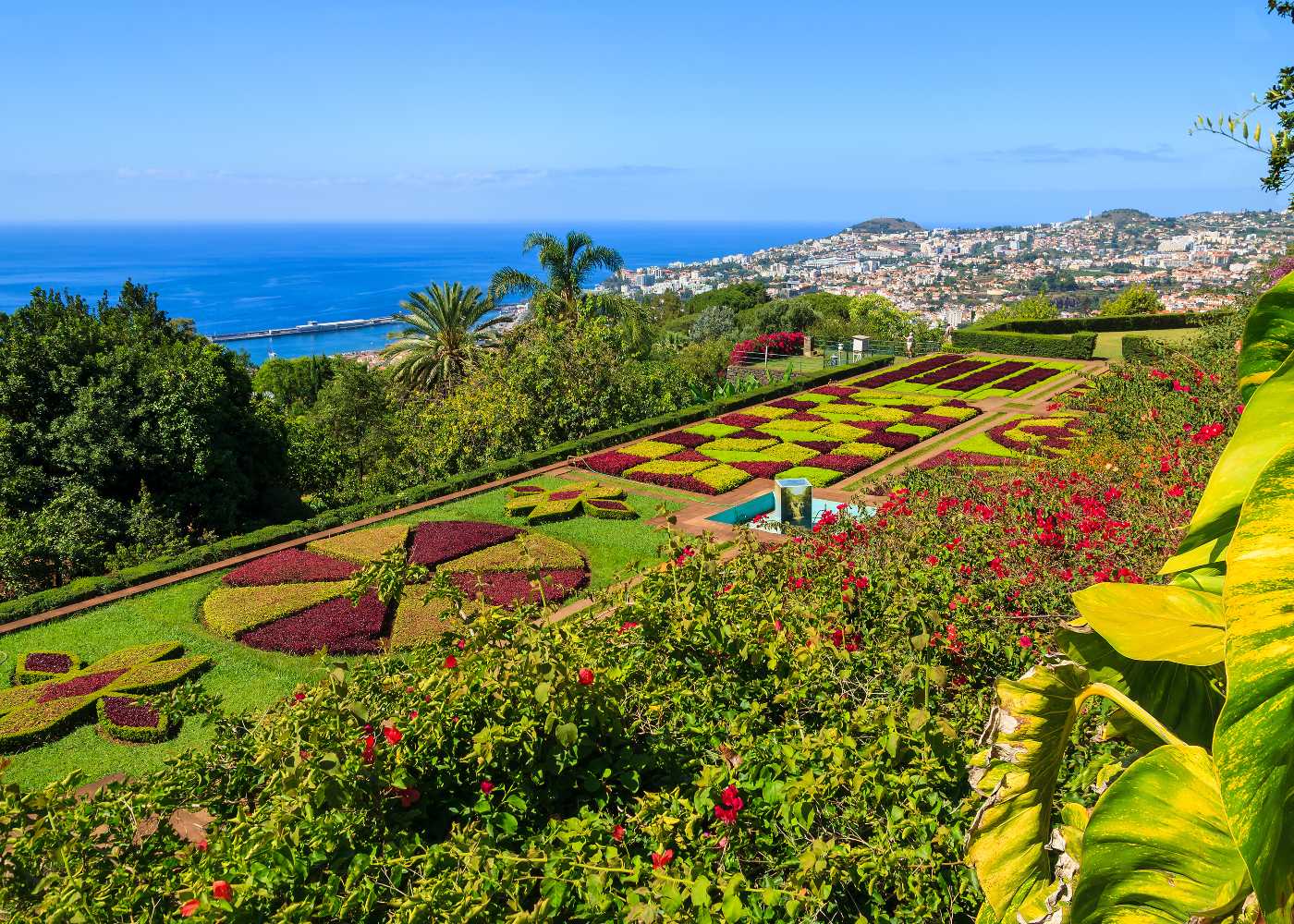 jardim botânico da Madeira